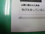 P1000031.jpg