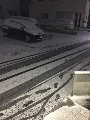 S__4833308.jpg