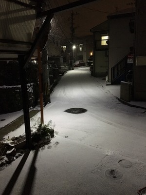 S__4849770.jpg